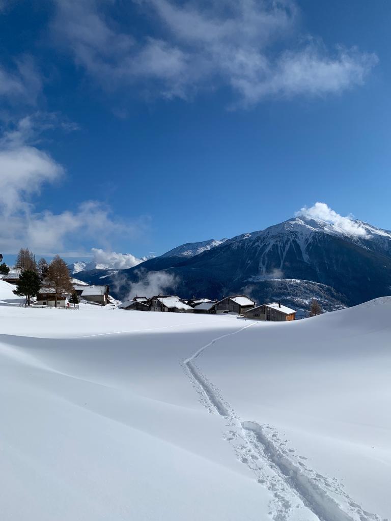 Schneeschuhwandern: geich vor der Haustür