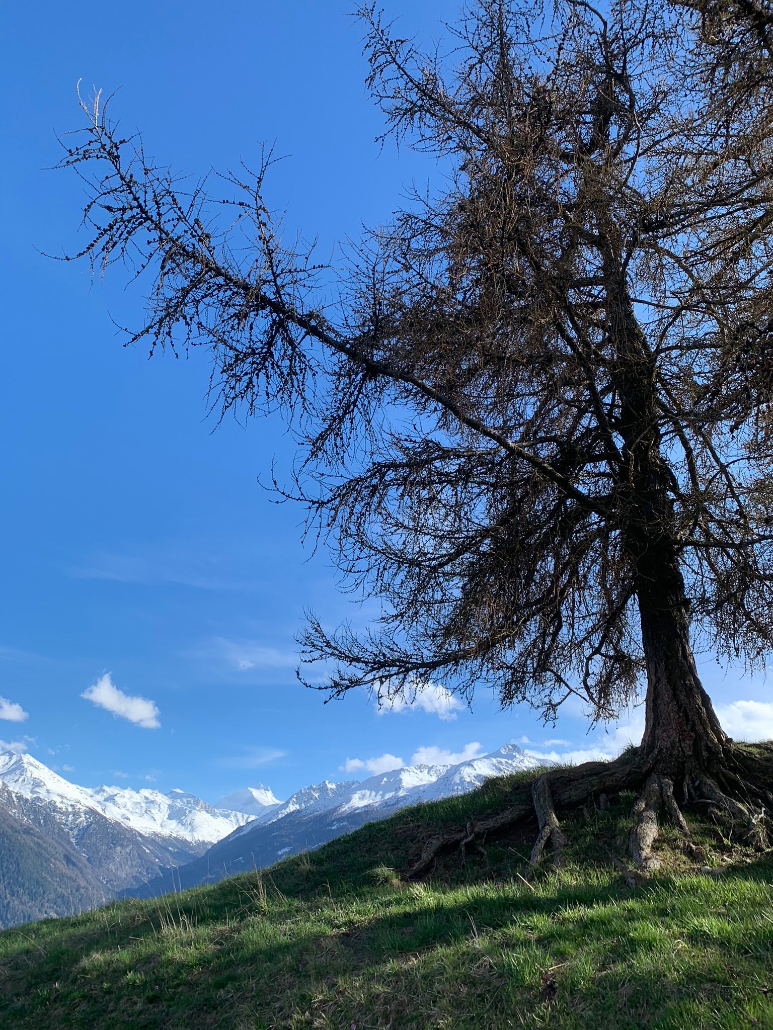 Nahe Umgebung: Natur pur